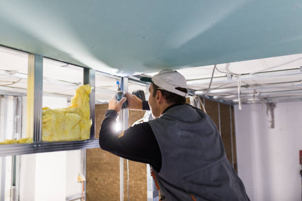 Best Commercial Insulation in Gardner, IL