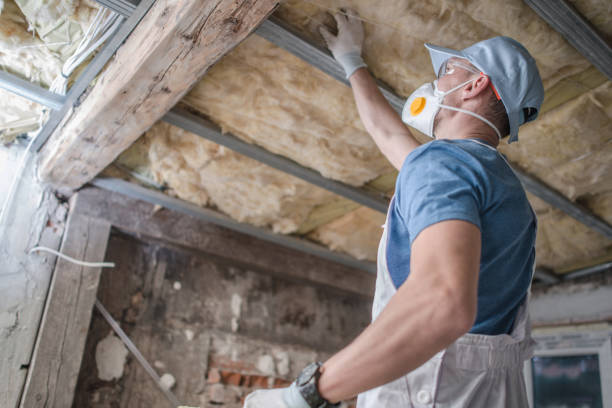 Best Insulation Installation Services in Gardner, IL